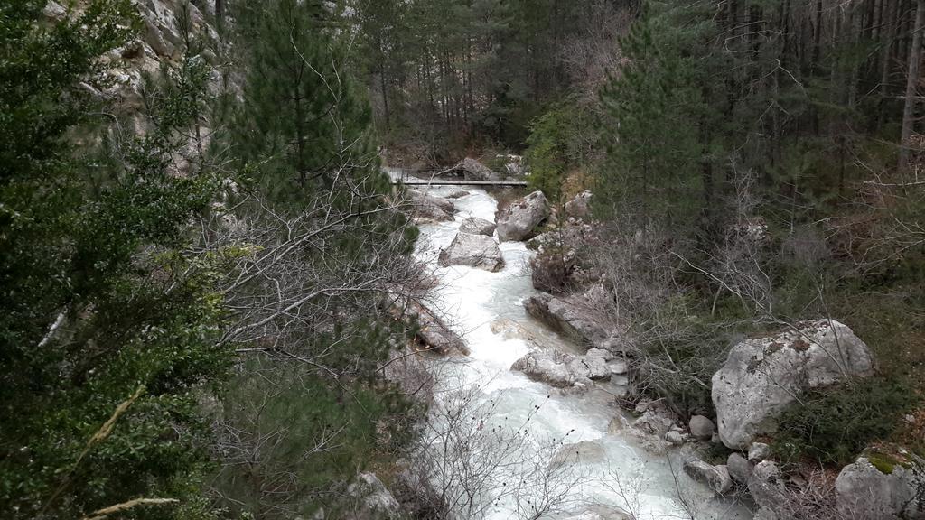 Les Cigales D'Estoublon Διαμέρισμα Δωμάτιο φωτογραφία
