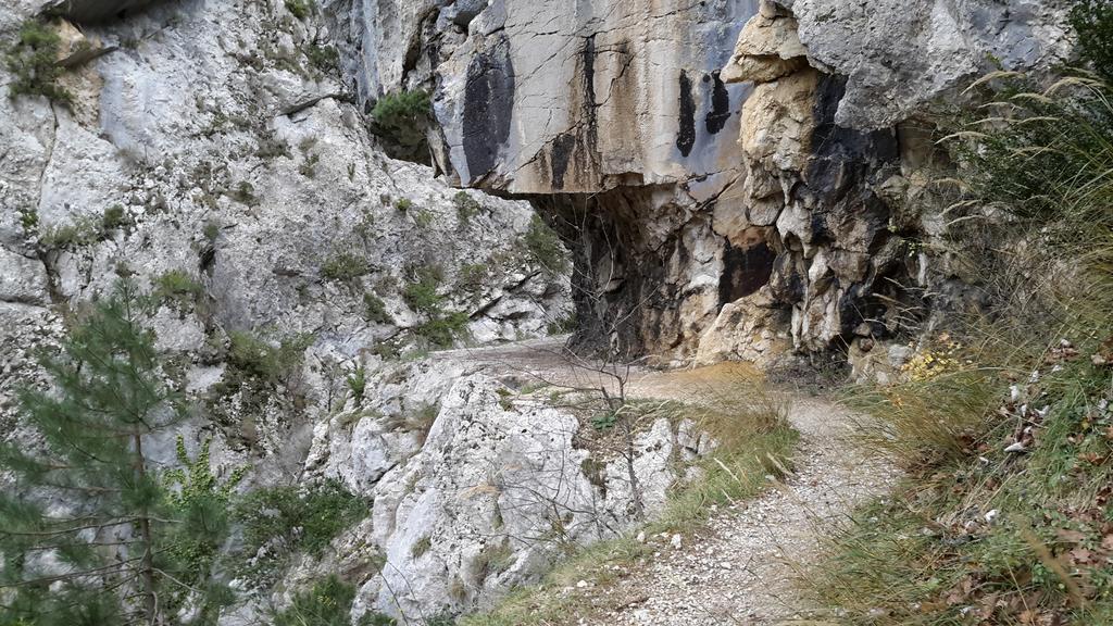 Les Cigales D'Estoublon Διαμέρισμα Δωμάτιο φωτογραφία