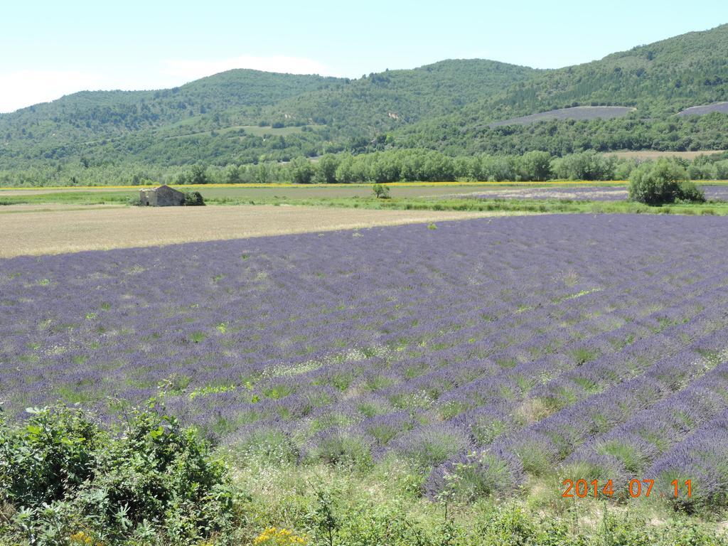 Les Cigales D'Estoublon Διαμέρισμα Δωμάτιο φωτογραφία